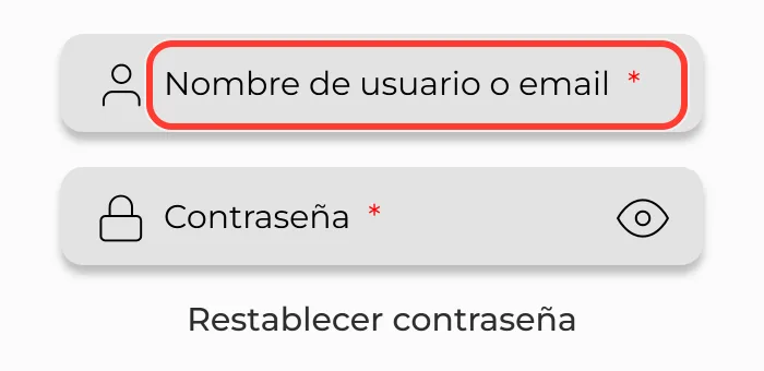 Campo nombre de usuario o email en el acceso a MiCasino